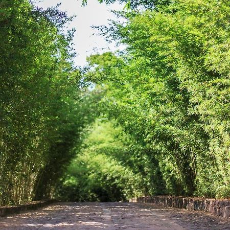 Pousada Bosque Do Lapao Lencois Kültér fotó