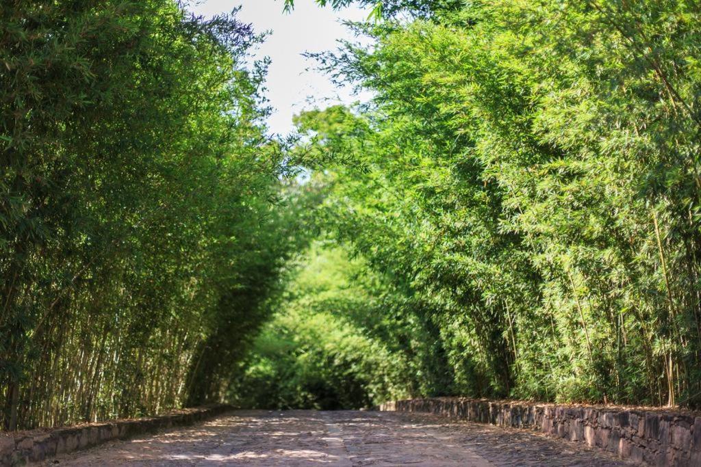 Pousada Bosque Do Lapao Lencois Kültér fotó